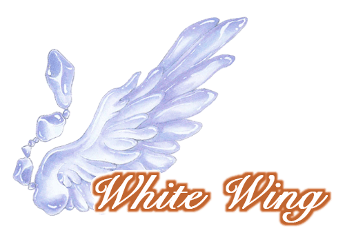 White-wing □篠原烏童 公式サイト□